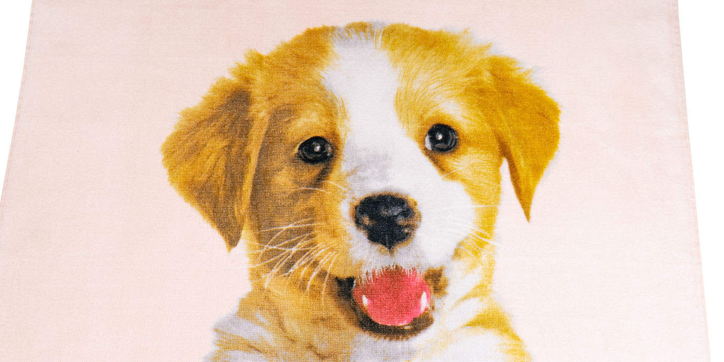 Ręczniki kąpielowy plażowy piesek w wiaderku TNL2140014-R